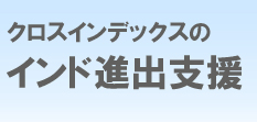 インド進出 インド市場調査